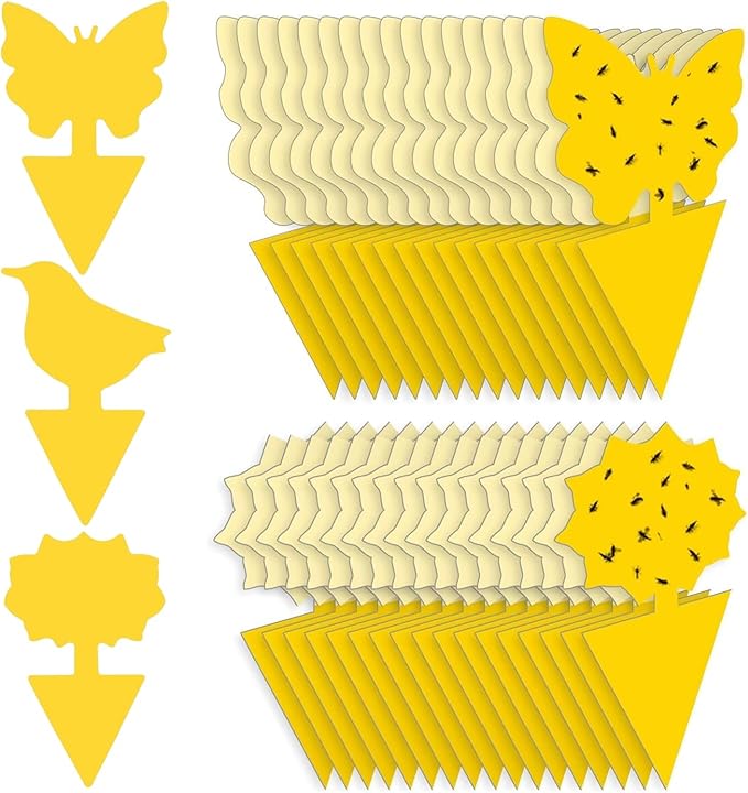 Fruit Fly Traps Double Sided Pack of 60 Yellow Fruit Fly Traps Double Sided Pack of 60 Yellow