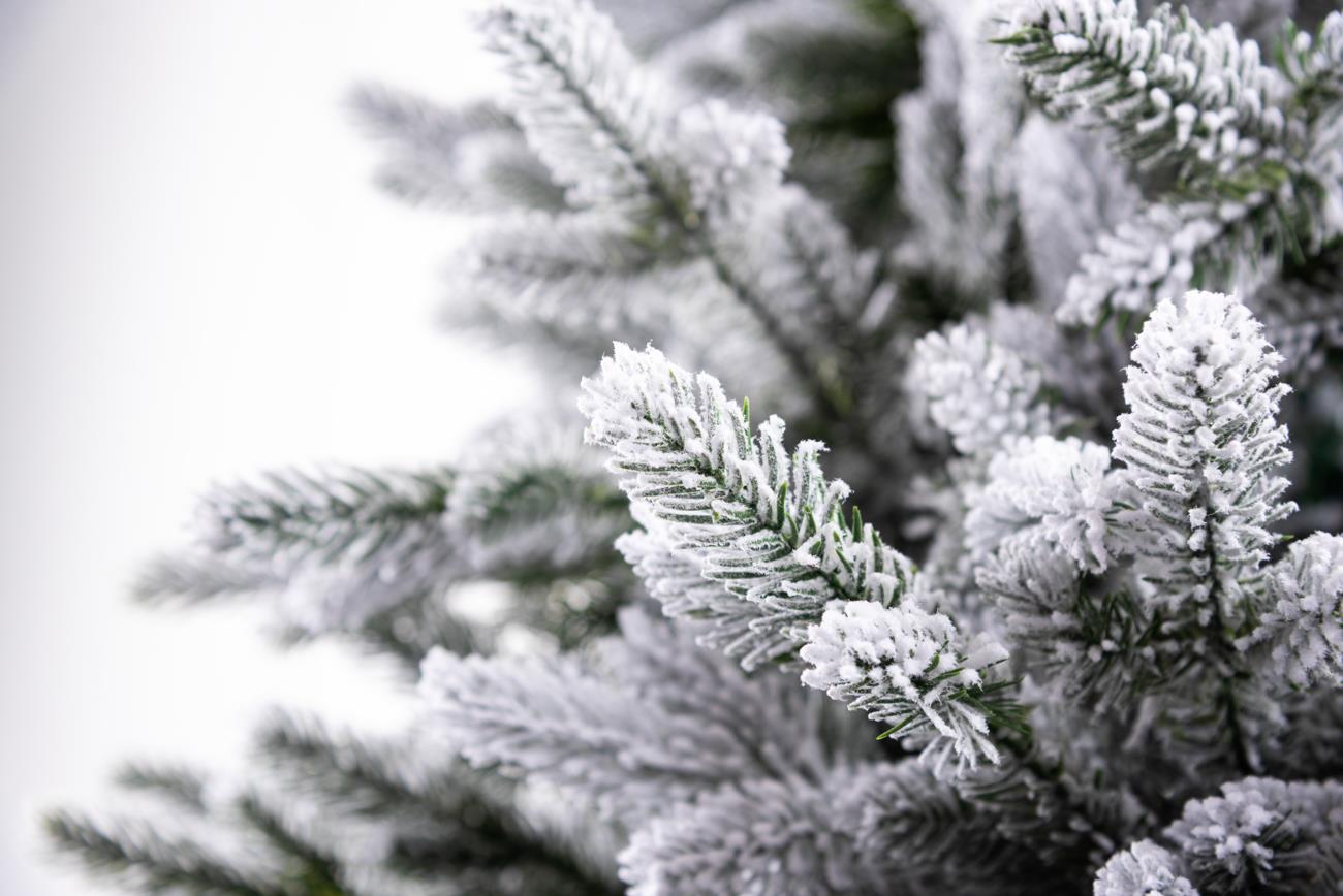 Frosted Snow Flocked Green Oregon Pine Tips Bushy Artificial Christmas Tree Holiday Luxurious Home Xmas Festive Decorations, PVC, 6FT