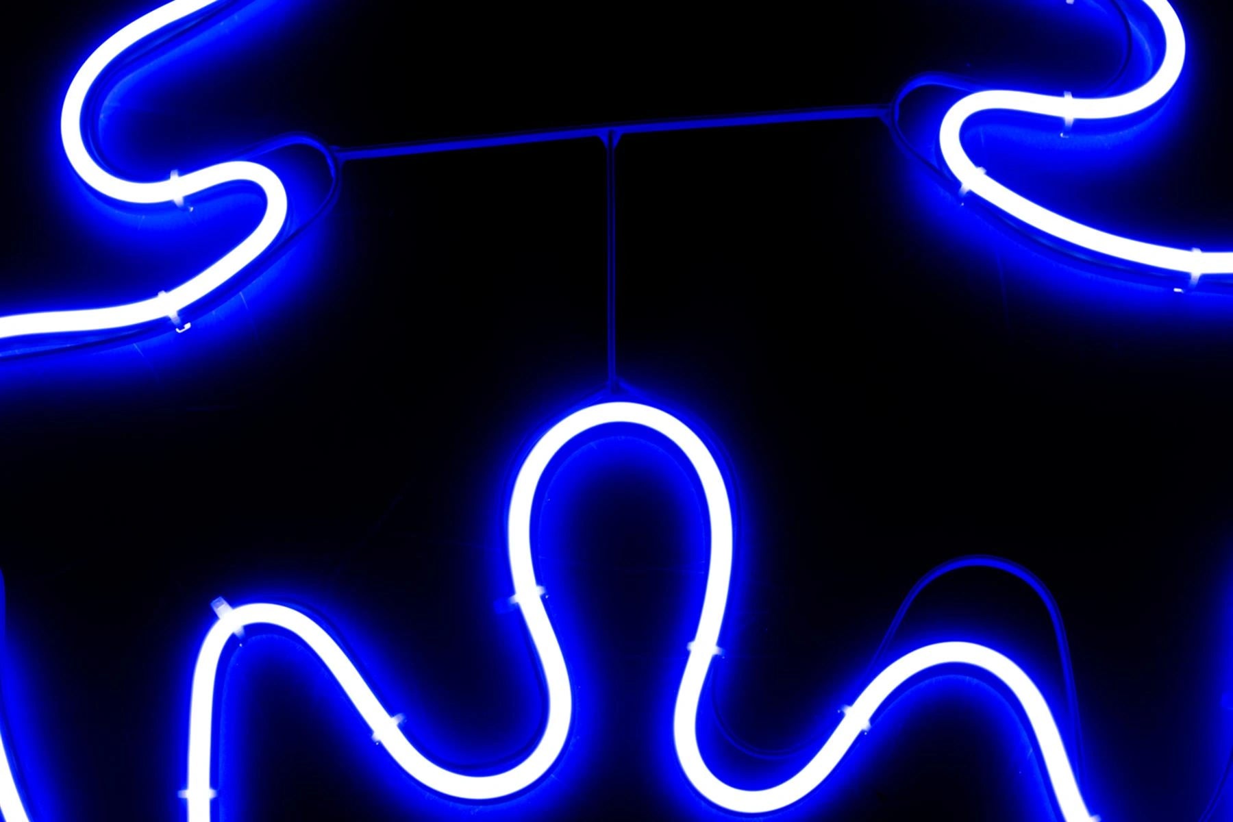 Neon Rope Light Silhouette Christmas Stag Head Outdoor Wall Garden Decoration UK