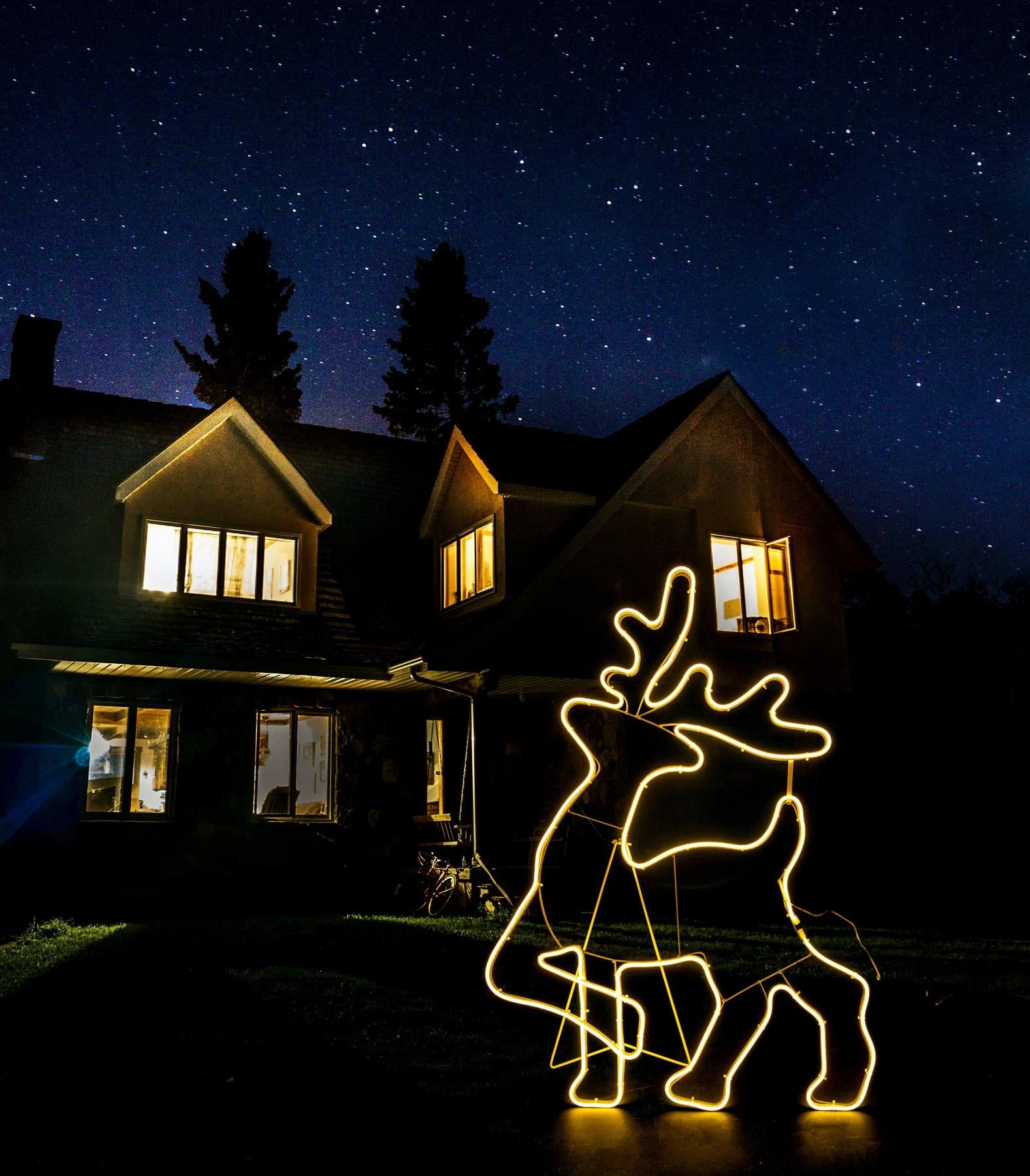 Neon Rope Light Silhouette Christmas Walking Reindeer Outdoor Wall Garden Decor