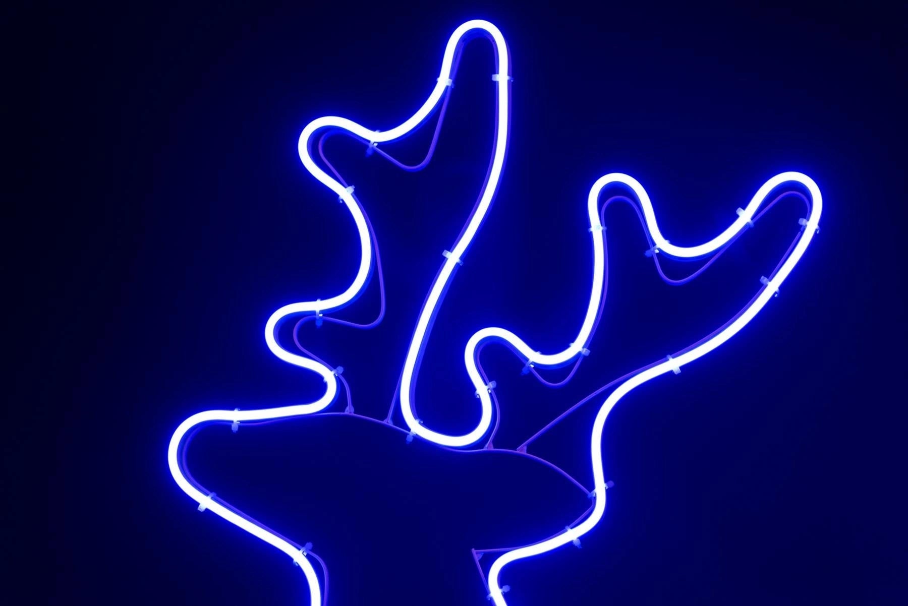 Neon Rope Light Silhouette Christmas Standing Reindeer Outdoor Wall Garden Decor