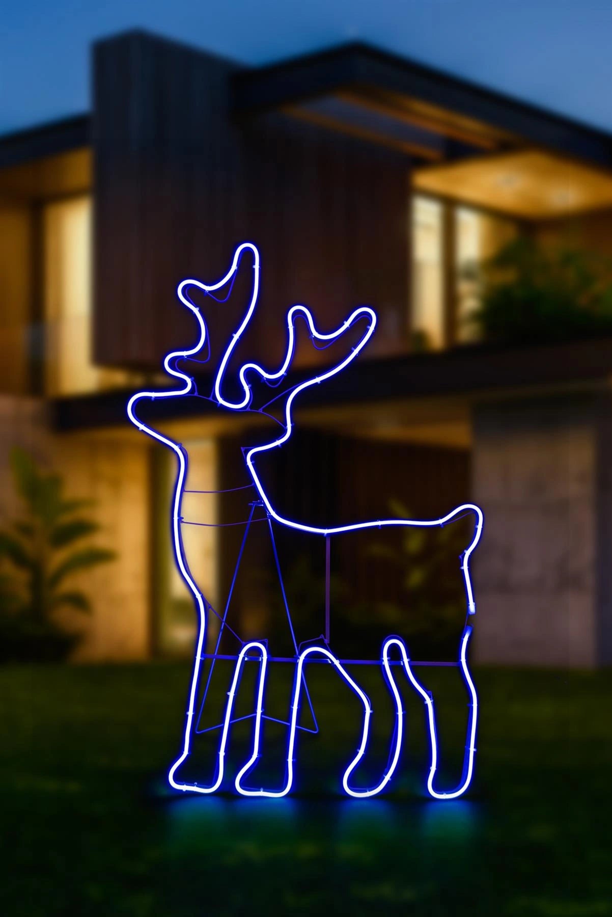 Reindeer Rope Light Silhouette-Blue 89 X 50Cm