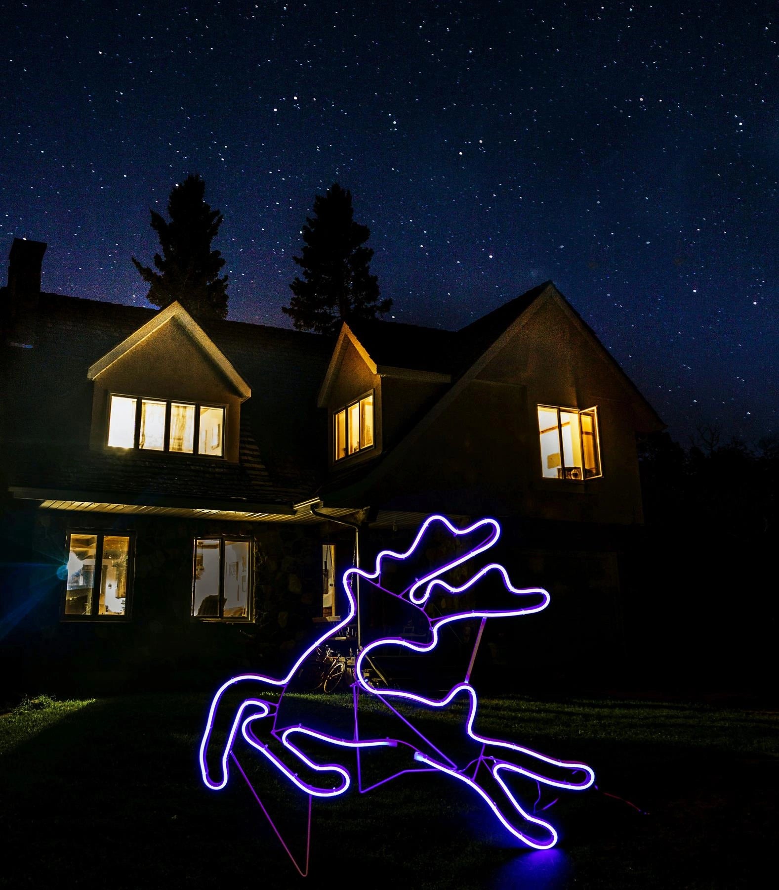 Rope Lights Silhouette Christmas Jumping Reindeer Outdoor Wall Garden Xmas Decor