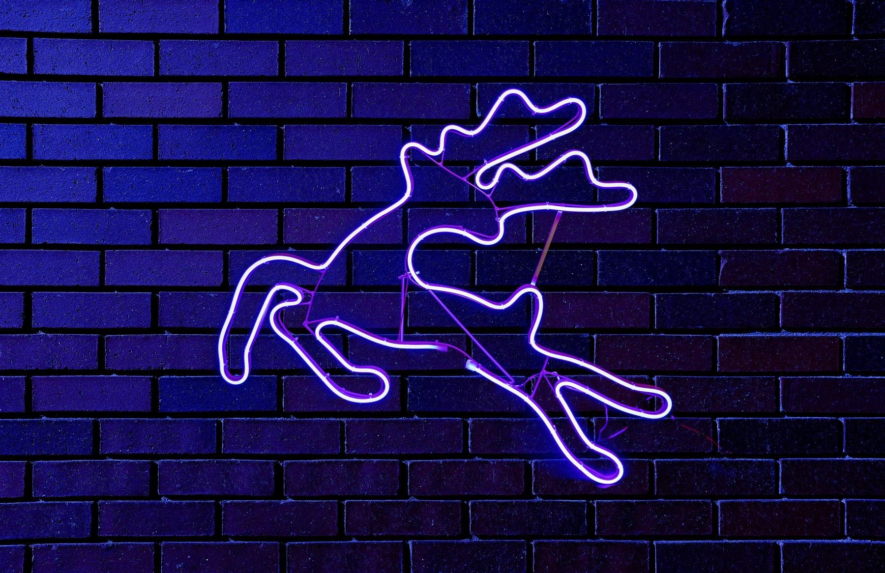 Rope Lights Silhouette Christmas Jumping Reindeer Outdoor Wall Garden Xmas Decor