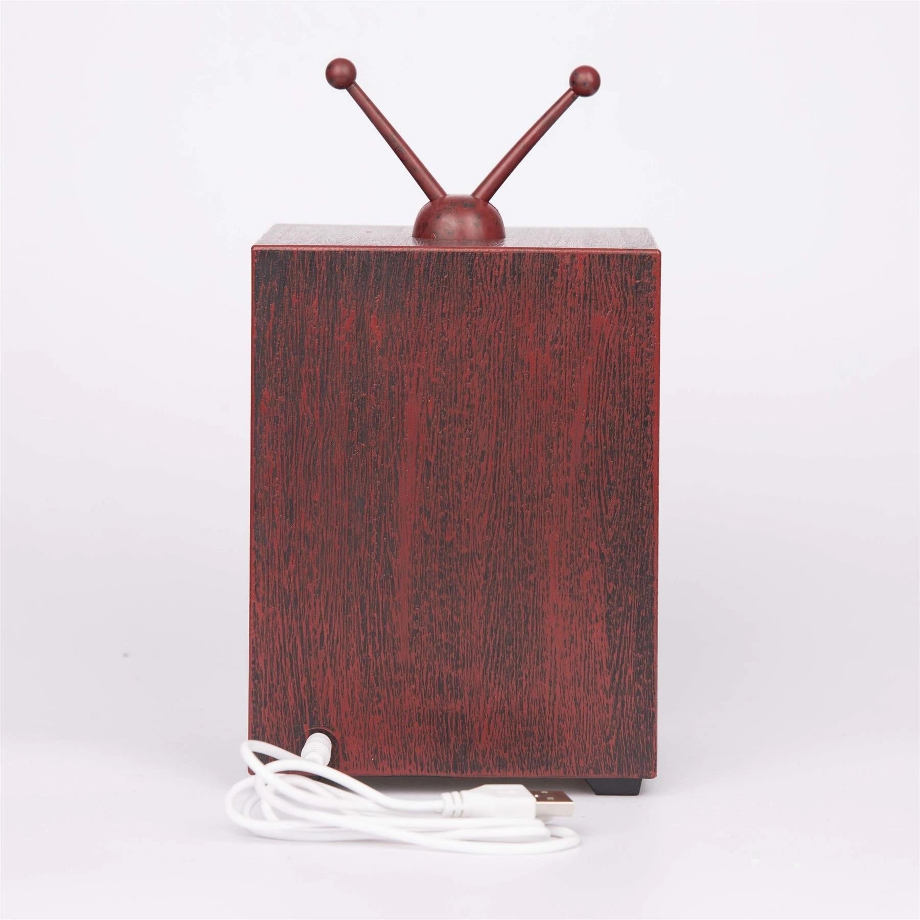 Xmas Decoration Holiday Ornament LED Snowman Scene TV Snow Globe Water Spinner