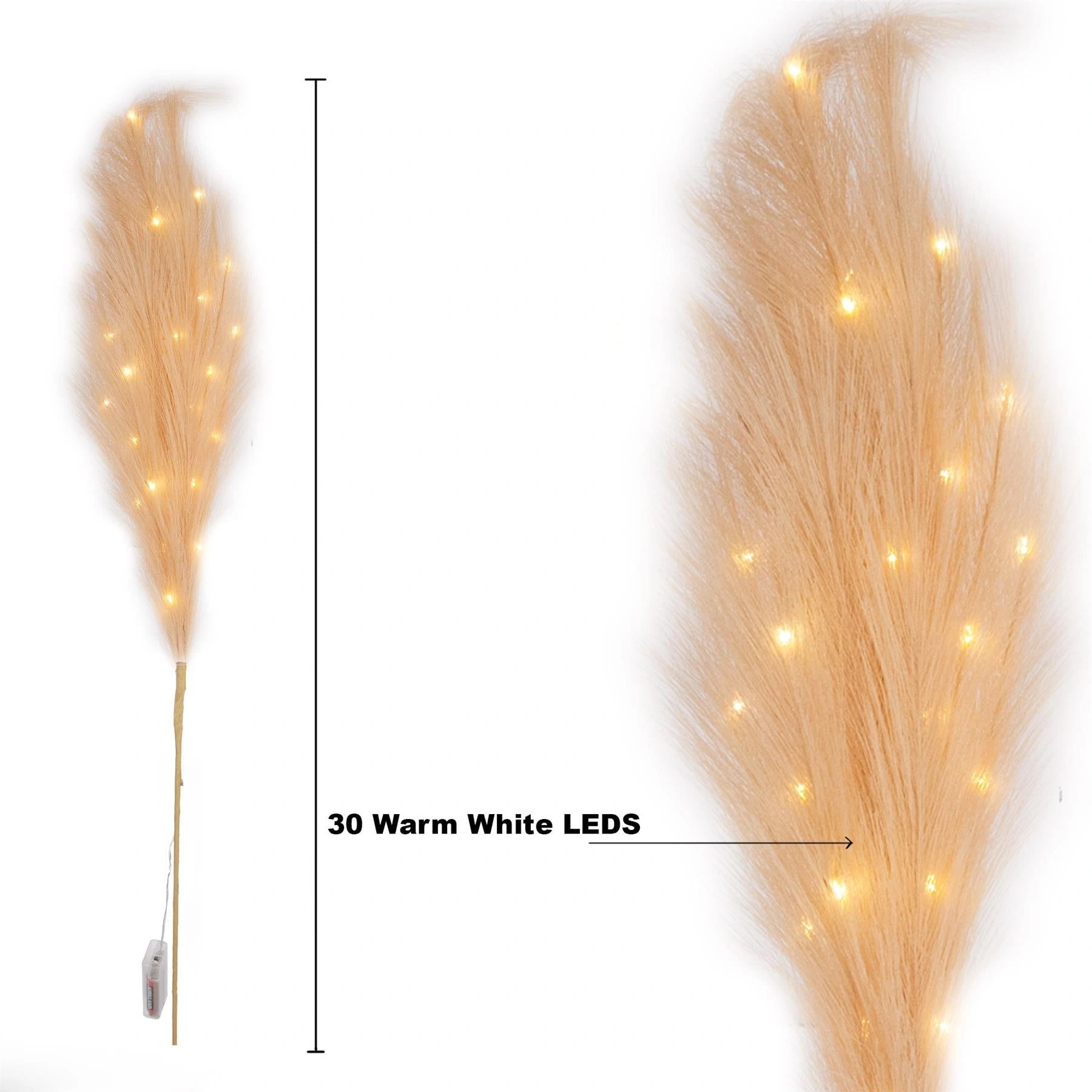 2Pcs 100Cm B/O Pampas Grass Champagne W/ 30 Ww Leds