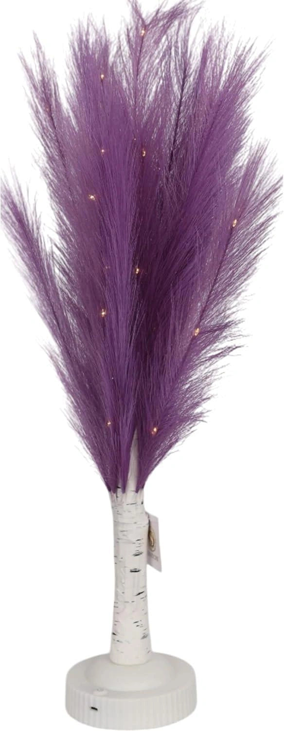 70M B/O Pampas Tree Purple