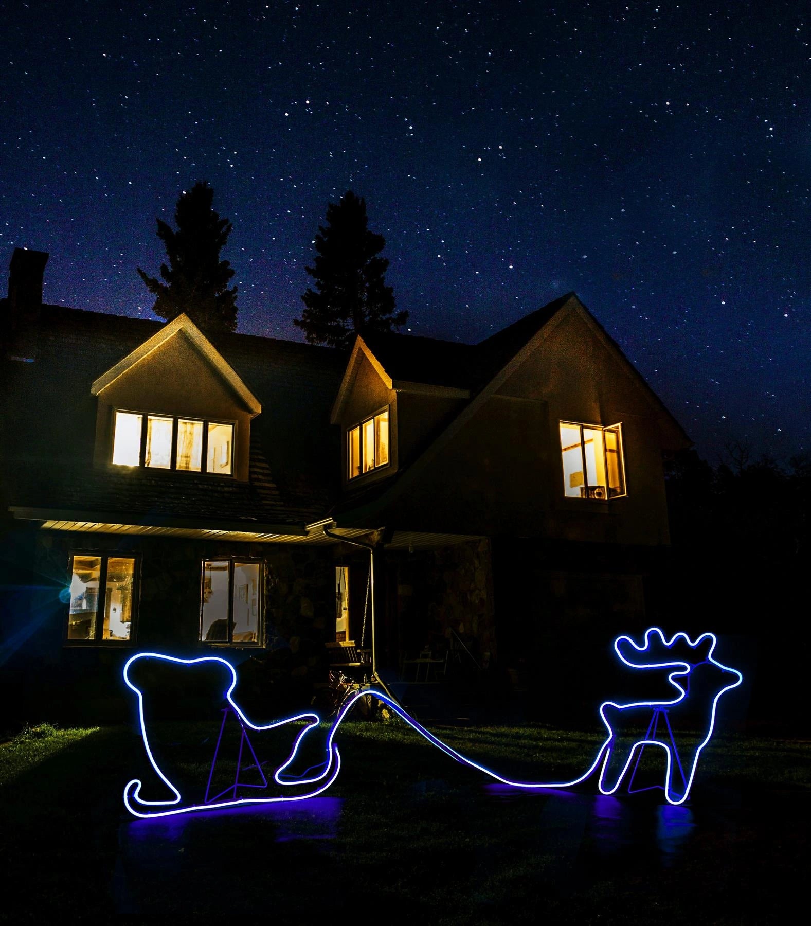 Neon Rope Lights Silhouette Christmas Reindeer Sleigh Outdoor Wall Garden Decor