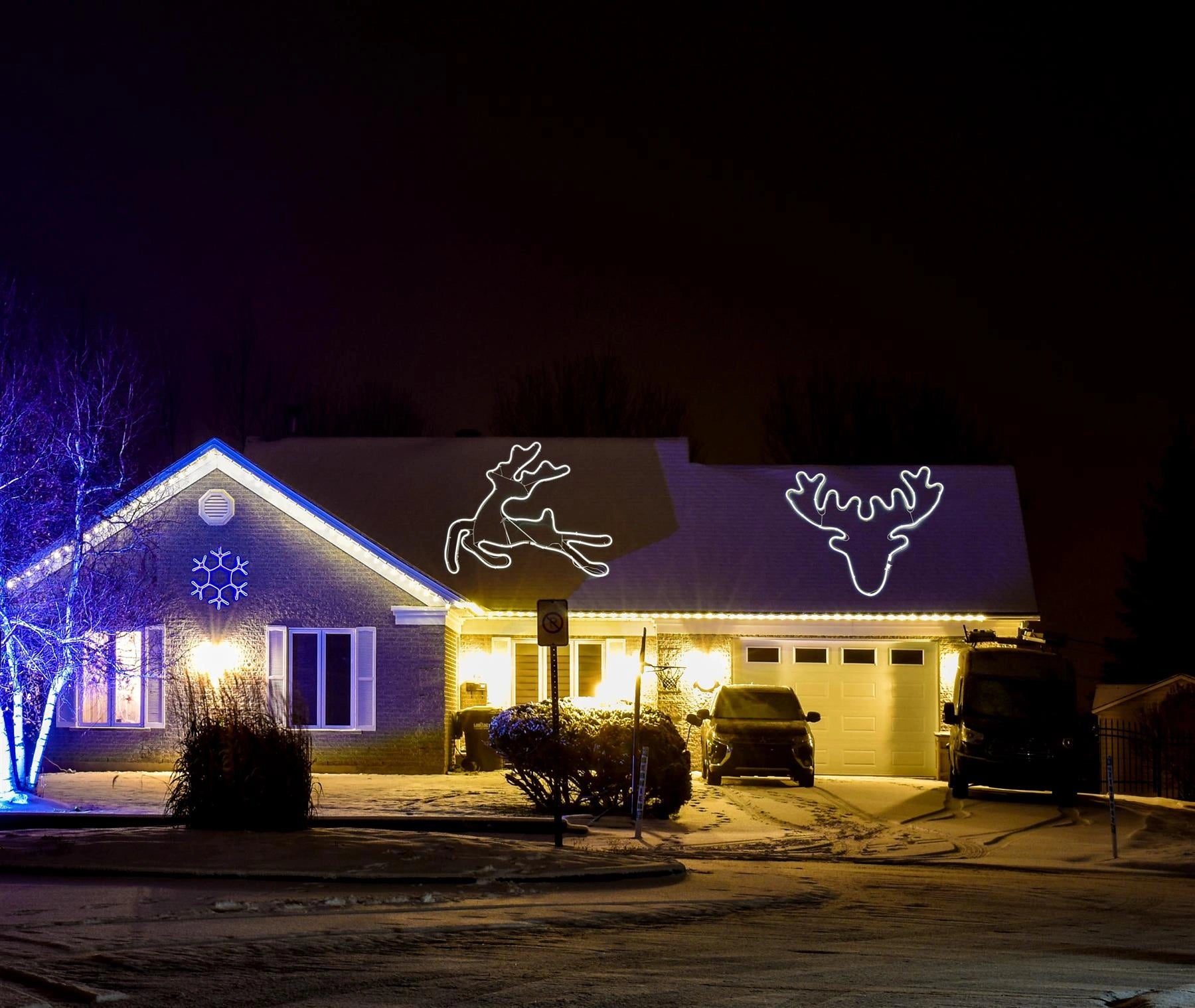 Neon Rope Light Silhouette Christmas Stag Head Outdoor Wall Garden Decoration UK