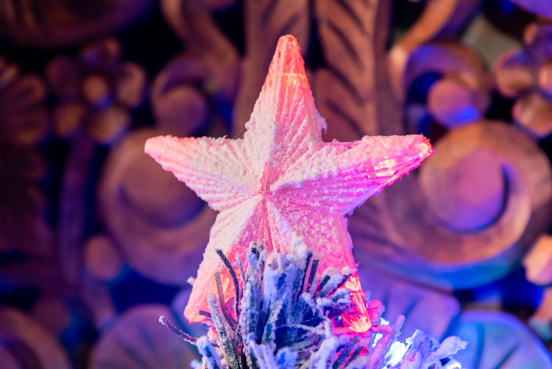 Pre-Lit Christmas Tree Fiber Optic Pine LED Lights Xmas Decor Frosted Aurora 2FT