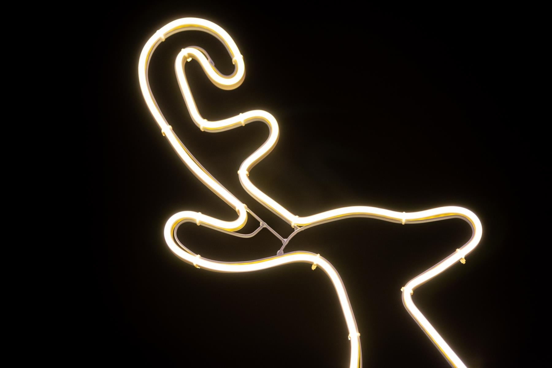 Neon Rope Light Silhouette Christmas Reindeer Calf Outdoor Wall Garden Decor UK